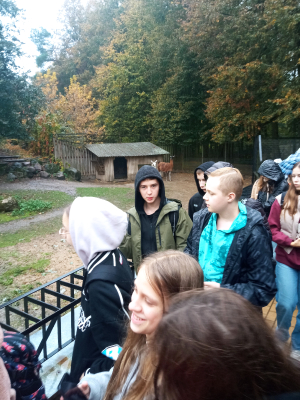 Myślęcinek_15