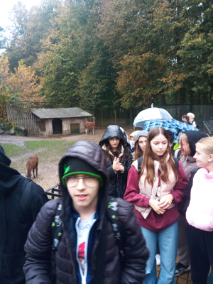 Myślęcinek_16
