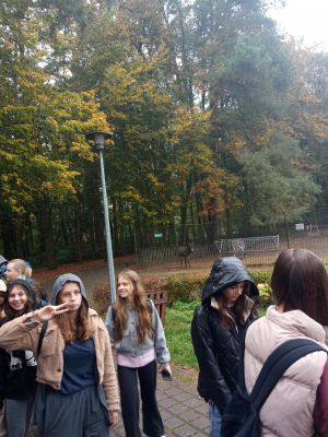 Myślęcinek_17