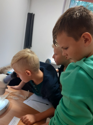 Myślęcinek_23