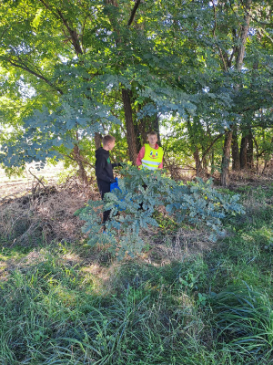 sprzątanie_10