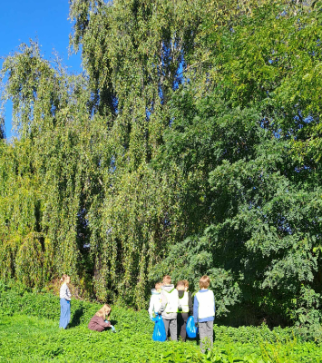 sprzątanie_19