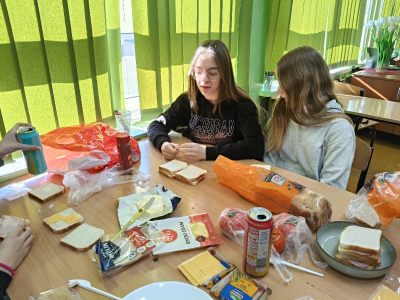 tost_10