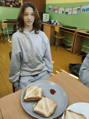 tost_11