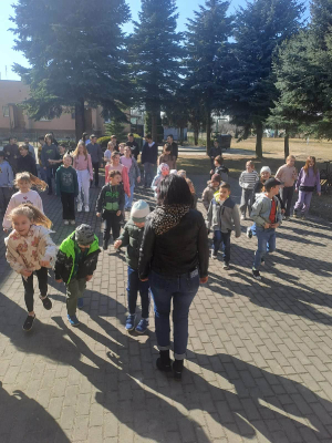 mózgg_2